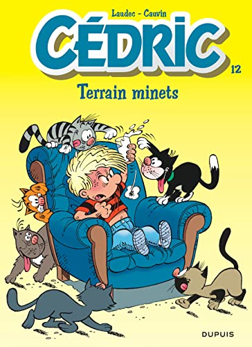 CEDRIC N°12 : TERRAIN MINETS
